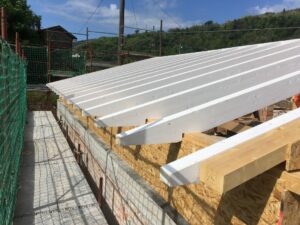 Ampliamento in elevazione Pescia - PT image010